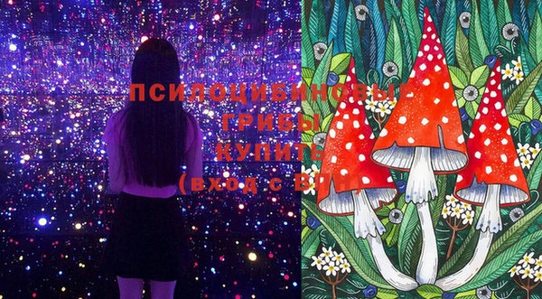 МДМА Алексеевка